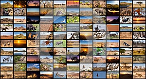 A variety of images of African Landscapes and Animals as a big image wall