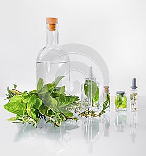 A variety of jars with green herbs and a large bottle with a clear liquid.