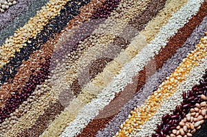 Variety kinds of natural cereal and grain seed stripe background