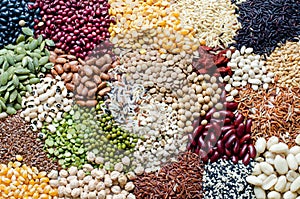 Variety kinds of natural cereal and grain seeds ready for cooking