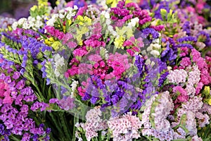 Variety of limonium sinuatum or statice salem flowers in blue, lilac, violet, pink, white, yellow colors in the greek garden shop. photo