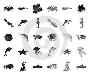 A variety of marine animals black.mono icons in set collection for design. Fish and shellfish vector symbol stock web