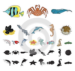 A variety of marine animals cartoon, black icons in set collection for design. Fish and shellfish vector symbol stock