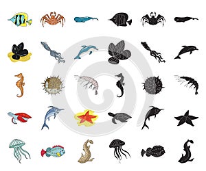 A variety of marine animals cartoon,black icons in set collection for design. Fish and shellfish vector symbol stock web