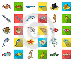 A variety of marine animals cartoon,flat icons in set collection for design. Fish and shellfish vector symbol stock web