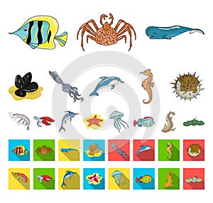 A variety of marine animals cartoon,flat icons in set collection for design. Fish and shellfish vector symbol stock web