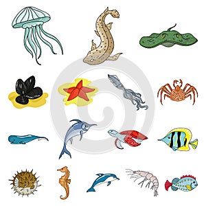 A variety of marine animals cartoon icons in set collection for design. Fish and shellfish vector symbol stock web