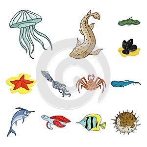 A variety of marine animals cartoon icons in set collection for design. Fish and shellfish vector symbol stock web