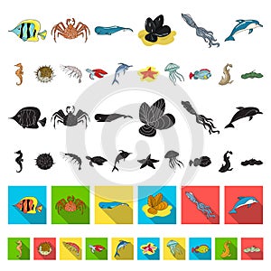 A variety of marine animals cartoon icons in set collection for design. Fish and shellfish vector symbol stock web