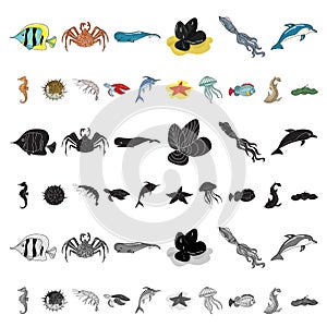 A variety of marine animals cartoon icons in set collection for design. Fish and shellfish vector symbol stock web