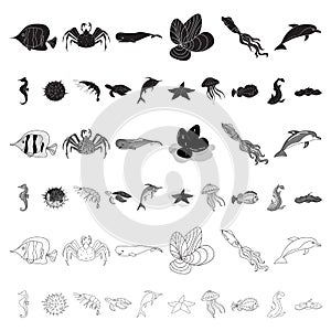 A variety of marine animals cartoon icons in set collection for design. Fish and shellfish vector symbol stock web