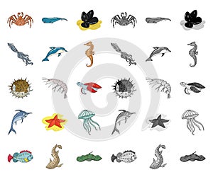 A variety of marine animals cartoon,mono icons in set collection for design. Fish and shellfish vector symbol stock web