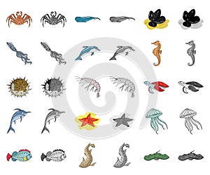 A variety of marine animals cartoon,monochrom icons in set collection for design. Fish and shellfish vector symbol stock