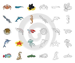 A variety of marine animals cartoon,outline icons in set collection for design. Fish and shellfish vector symbol stock