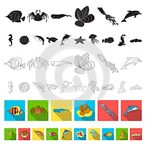 A variety of marine animals flat icons in set collection for design. Fish and shellfish vector symbol stock web