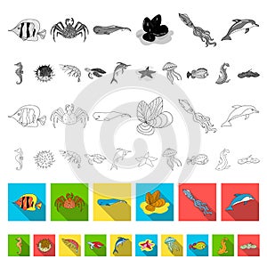 A variety of marine animals flat icons in set collection for design. Fish and shellfish vector symbol stock web