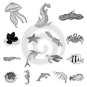 A variety of marine animals monochrome icons in set collection for design. Fish and shellfish vector symbol stock web
