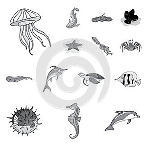 A variety of marine animals monochrome icons in set collection for design. Fish and shellfish vector symbol stock web