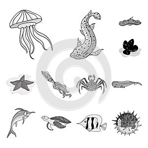 A variety of marine animals monochrome icons in set collection for design. Fish and shellfish vector symbol stock web