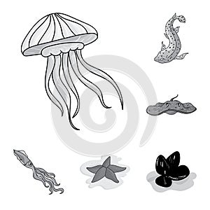 A variety of marine animals monochrome icons in set collection for design. Fish and shellfish vector symbol stock web