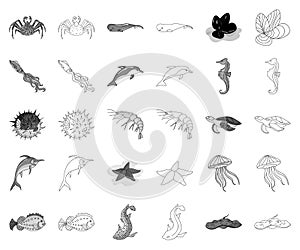 A variety of marine animals monochrome,outline icons in set collection for design. Fish and shellfish vector symbol