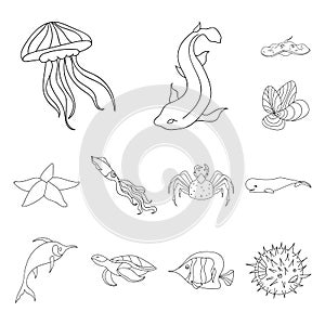 A variety of marine animals outline icons in set collection for design. Fish and shellfish vector symbol stock web