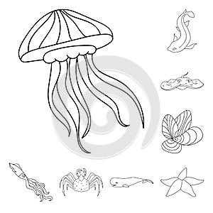 A variety of marine animals outline icons in set collection for design. Fish and shellfish vector symbol stock web