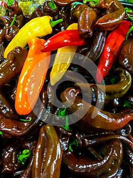 Variety of multi colored sweet peppers