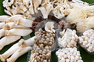 Variety of Mushrooms background photo