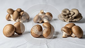 Showcases diverse shapes and textures emphasizing their natural