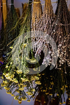 Variety of natural herbs drying on rack for decoration or tea