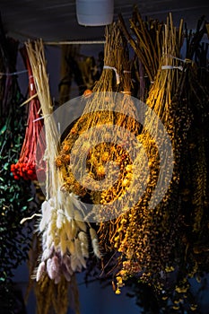 Variety of natural herbs drying on rack for decoration or tea