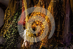 Variety of natural herbs drying on rack for decoration or tea