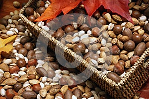 Variety of Nuts photo