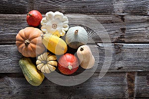 Variety of organic gourds, pumpkins, blue and kuri squashes photo