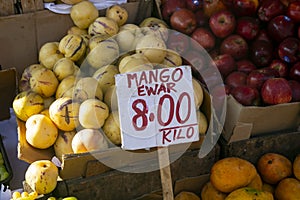 Variety of Peruvian mango from the Peruvian jungle