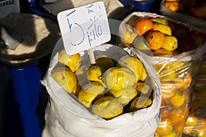 Variety of Peruvian mango from the Peruvian jungle