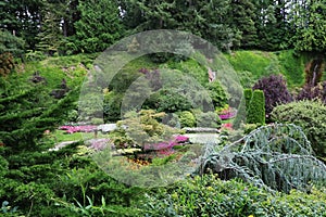 A variety of plants in the Butchart Garden on Vancouver Island, British Columbia, Canada.jpg