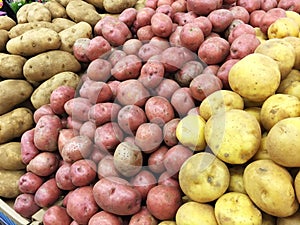 Variety Of Potatoes For Sale