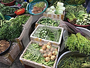 Variety of raw fresh vegetables and greens