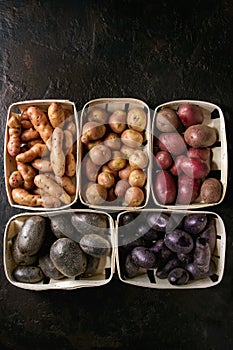 Variety of raw potatoes