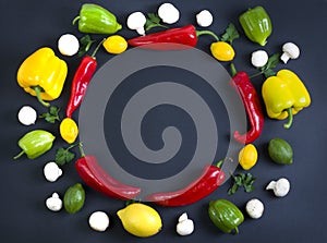 Variety of raw vegetables, culinary concept. Assortment of vegetables and herbs on grey stone background. Top view. Copy space. Di