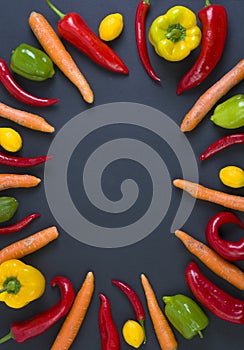 Variety of raw vegetables, culinary concept. Assortment of vegetables and herbs on grey stone background. Top view. Copy space. Di