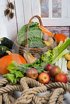 Variety of raw vegetables to cooking pot-au-feu