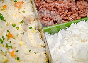 Variety of rice