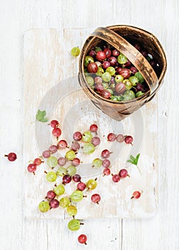 Variety of ripe garden gooseberries in birchbark basket photo
