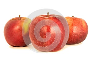 Variety of ripe red apples Ligol isolate white background. Procu