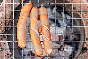 Variety of sausage products