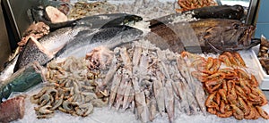 Variety of sea fishes salmons, grouper, squids, shrimps, octopus on the counter in a greek fish shop.