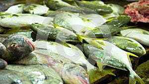 Variety of seafood. Fresh fish on a market counter in Vietnam.The fish market in Vietnam.